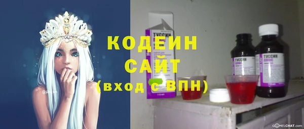 ешки Ельня