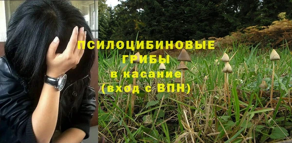 не бодяженный Елизово